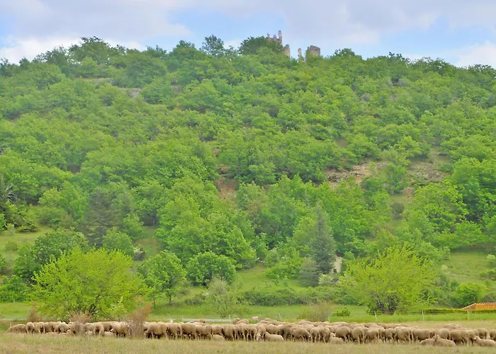 Bed & Breakfast Des Ferrayes Ongles